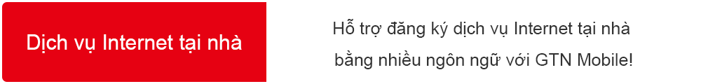 DỊCH VỤ INTERNET TẠI NHÀ 