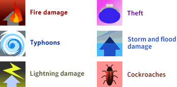 Figure: Target of insurance (fire, theft, typhoon, storm and flood damage, lightning damage, cockroaches)