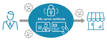 What is an SSL server certificate?