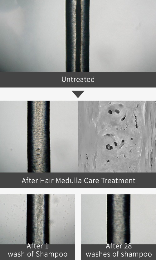 Untreated → After Hair Medulla Care treatment → Shampoo once → Shampoo 28 times