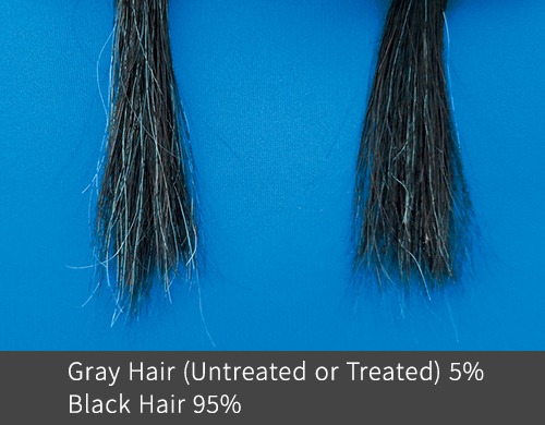 Gray hair (untreated or treated) 5%: Black hair 95%