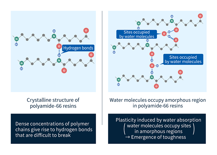 รูปที่ 3: โครงสร้างโมเลกุลของน้ำและพันธะไฮโดรเจนในโพลีเอไมด์