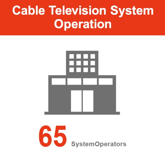 65 cable TV stations