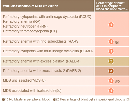 Classification of MDS according to the WHO classification 4th edition
