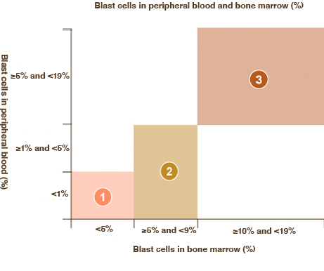 Percentage of blasts in peripheral blood and bone marrow