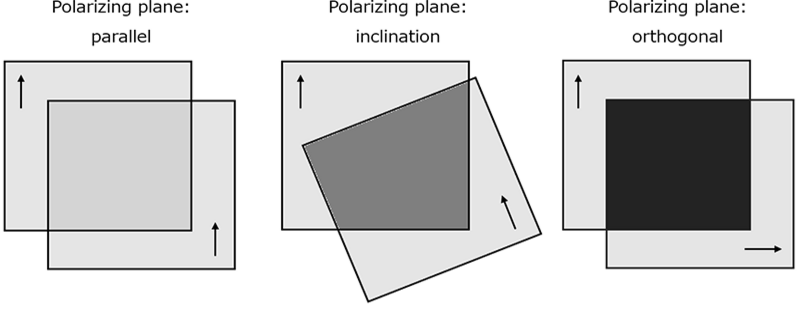 Comparison when the polarization planes of two polarizing plates are parallel, diagonal, or perpendicular