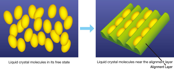 Images of liquid crystal particles in their natural state and liquid crystal particles near the alignment film